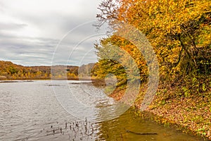 Beautiful autumn landscape of Belgrad forest with colorful trees near lake on cloudy day, Istanbul