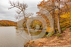 Beautiful autumn landscape of Belgrad forest with colorful trees near lake on cloudy day, Istanbul