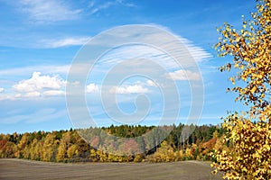 Beautiful autumn landscape with colorful forest