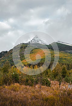 Beautiful autumn landscape - colorful forest and huge mountain peak covered by snow on background. Cloudy sky and snowy mountain