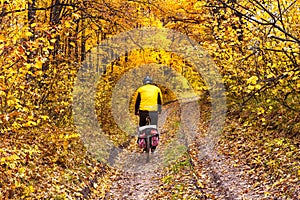 Beautiful autumn landscape - cycling through dirt path
