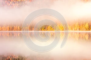 Beautiful autumn landscape with golden and copper colored trees in the mist