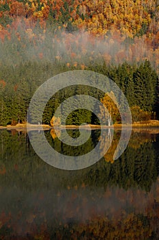 Beautiful autumn landscape with golden and copper colored trees in the mist