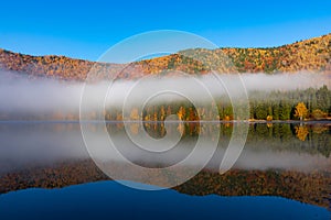 Beautiful autumn landscape with golden and copper colored trees in the mist