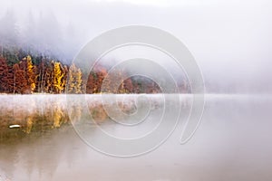 Beautiful autumn landscape with golden and copper colored trees and morning mist over the water