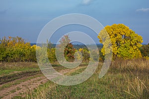 Beautiful autumn landscape - golden foliage and rural road