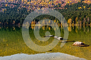 Beautiful autumn landscape with golden trees and rocks in the water