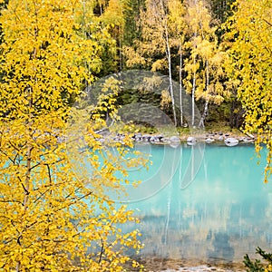 Beautiful autumn landscape in kanas