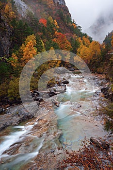 Beautiful autumn landscape, with large trees and colors saturated by rain, in the background the Ara river in the Bujaruelo valley