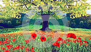 Beautiful autumn landscape with a lonely tree and poppies meditation, harmony, anti-stress, prosperity - concept