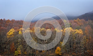 Beautiful Autumn Landscape at Montseny Natural Park