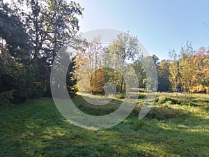 Beautiful autumn landscape with the morning fog