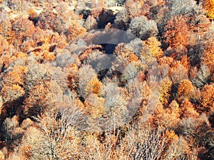 Beautiful autumn landscape in the mountains with colorful trees