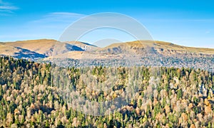 Beautiful autumn landscape. Mountains forest meadows.