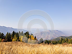 Beautiful autumn landscape with mountains at sunset. Pine trees on golden mountain hills illuminated with sunshine