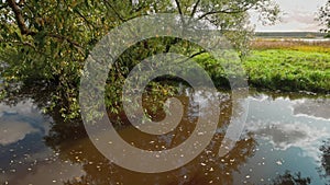 Beautiful autumn landscape overlooking river with reflection of sun and trees in water with fallen leaves.