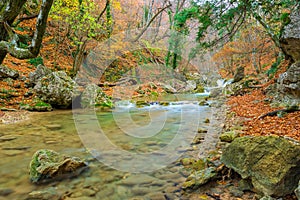 Beautiful autumn landscape, a river flowing into a gorge in the mountains and fallen leaves