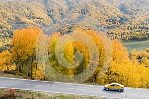 Beautiful autumn landscape and road