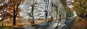 Beautiful autumn landscape with the road and the sun`s rays of the setting sun