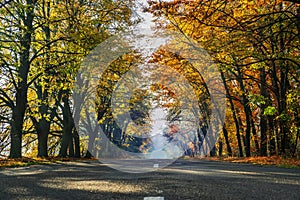 Beautiful autumn landscape with the road and the sun`s rays of the setting sun