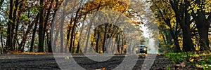 Beautiful autumn landscape with the road and the sun`s rays of the setting sun