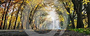 Beautiful autumn landscape with the road and the sun`s rays of the setting sun