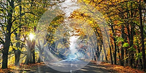 Beautiful autumn landscape with the road and the sun`s rays of the setting sun