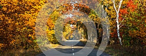 Beautiful autumn landscape with the road and the sun`s rays of the setting sun