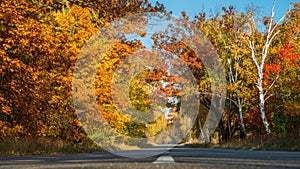 Beautiful autumn landscape with the road and the sun`s rays of the setting sun