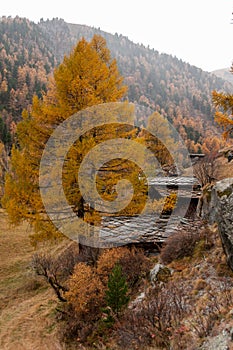 Beautiful autumn landscape with some old swiss chalets in Zermatt area