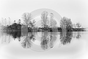 Beautiful autumn landscape. Trees reflected in the water of the lake. Black and white colors