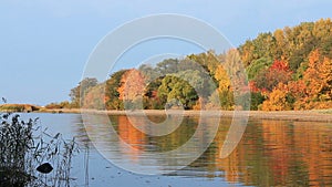 Beautiful autumn landscape, truly golden autumn