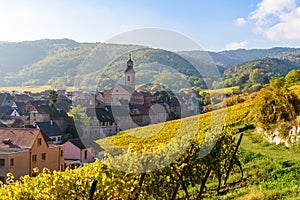 Beautiful autumn landscape with vineyards near the historic village of Riquewihr, Alsace, France - Europe. Colorful travel and