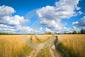 Beautiful autumn landscape with white clouds. Rural place