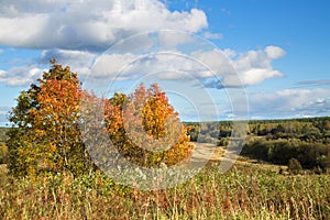 Beautiful autumn landscape with white clouds. Rural place