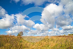 Beautiful autumn landscape with white clouds. Rural place