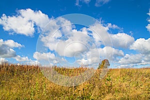 Beautiful autumn landscape with white clouds. Rural place