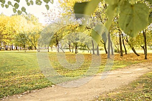 Beautiful autumn landscape with yellow trees, dry orange leaves and sun`s rays. Colorful foliage in city park. Falling leaves on