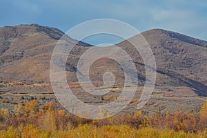 Beautiful autumn leaf colors in the Uinta National Forest of the Uinta Mountains in Utah