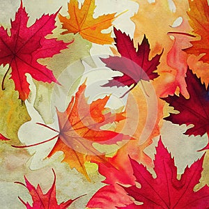 Beautiful Autumn Leaves Backgrounds - Aquarel Illustration