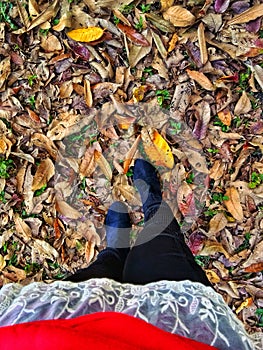 Beautiful autumn leaves fallen ano we cant stop it.