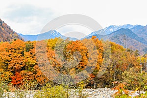 Beautiful autumn leaves of Takase in omachi district, Nagano Prefecture Japan