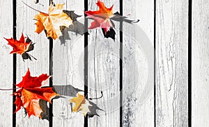 Beautiful autumn leaves on wooden background