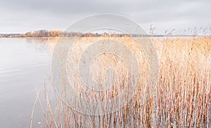 Beautiful autumn misty lake and forest wild landscape. Autumn forest and lake background