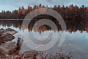 Beautiful autumn misty lake and forest wild landscape. Autumn forest and lake background.