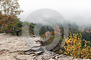 Beautiful autumn misty landscape, scenic view. Fog above forest valley. Rocky hills, pine and birch trees with colorful