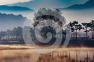 Beautiful autumn morning fog on Sinjeong Lake, Asan, South Korea