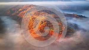 Beautiful Autumn mountain panorama. Morning thick fog cover valley aerial view. Red, Yellow, Orange trees on hillsides