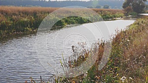 Beautiful autumn nature landscape view.  Small river along field merging to blue sky.