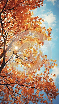 Beautiful autumn nature with vibrant and warm colors. Generative AI illustrations